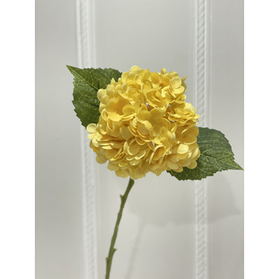 Hydrangea Stem