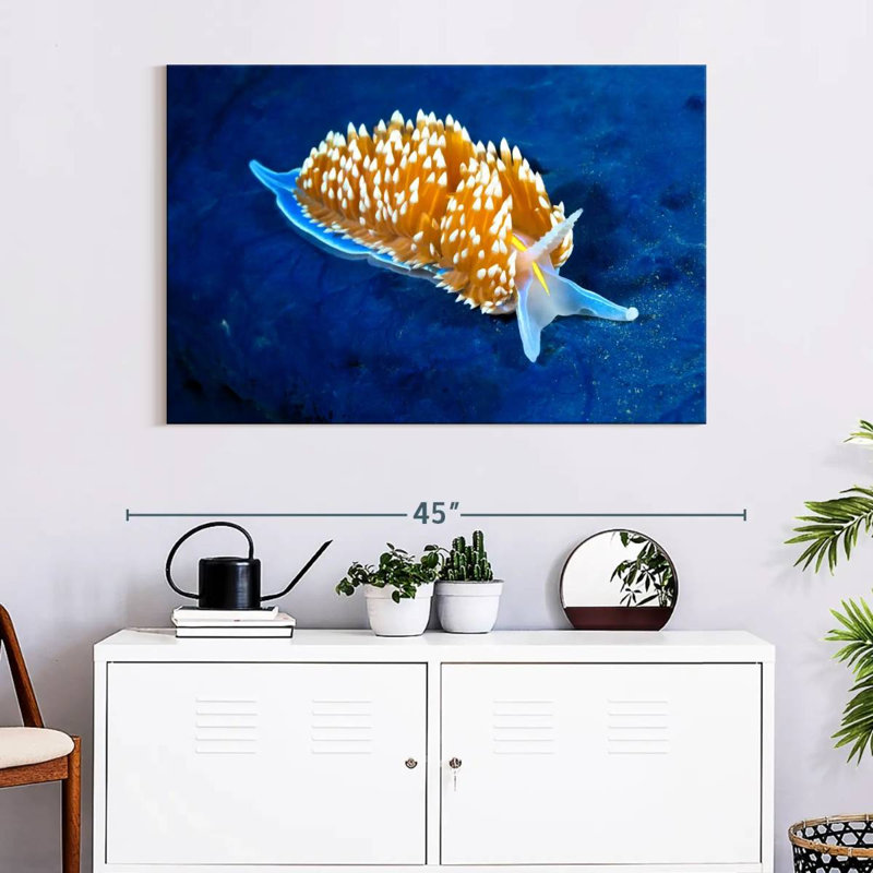 Crowle Glowing Nudibranch, 26" H x 39" W