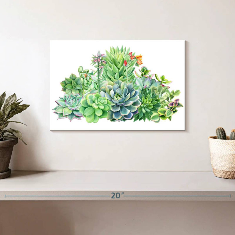 Harnek Succulent Plant Bouquet, 8" H x 12" W