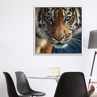 Tiger - Blue Eyes by Collin Bogle - Print on Canvas