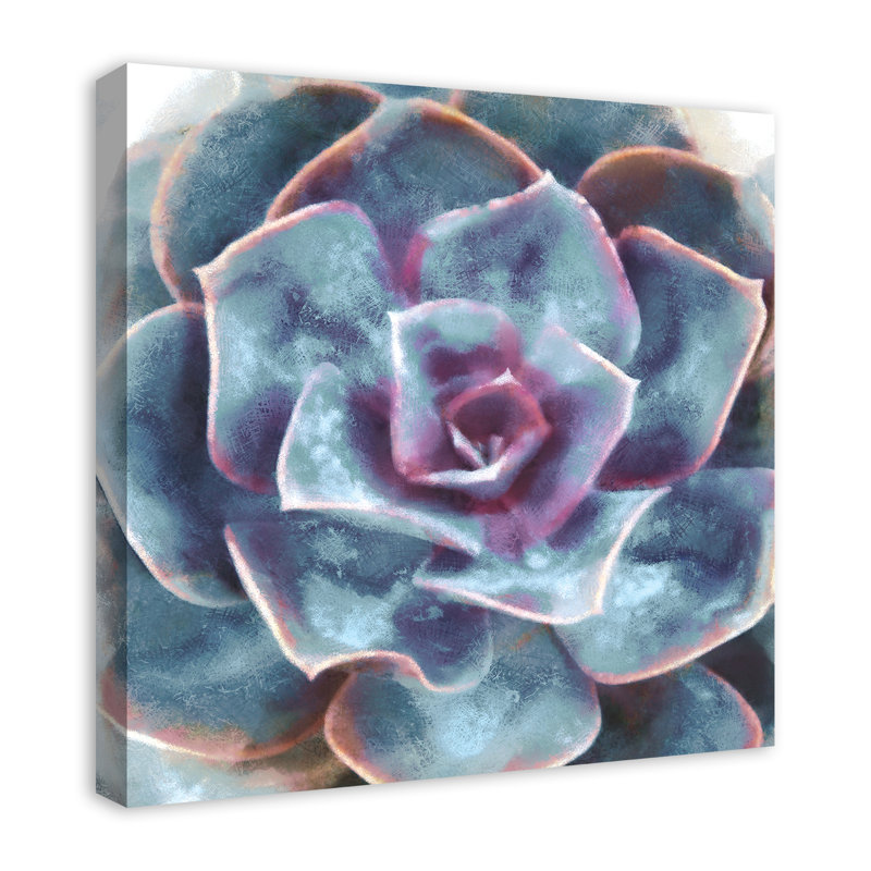 Succulent mauve et bleu sarcelle - sans cadre, H 24 po x l 24 po x P 1,25 po