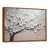 Brown Floater Framed selected