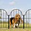 Metal Garden Accents Accessories