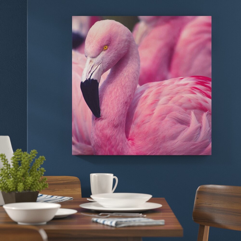 Leinwandbild Pinker Flamingo