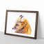 Red Fox in Winter - Framed Print-56758815-56758820