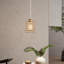 1 - Light Natural Dome Pendant