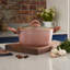 Belfry Kitchen Ulrike Earthenware Dutch Oven