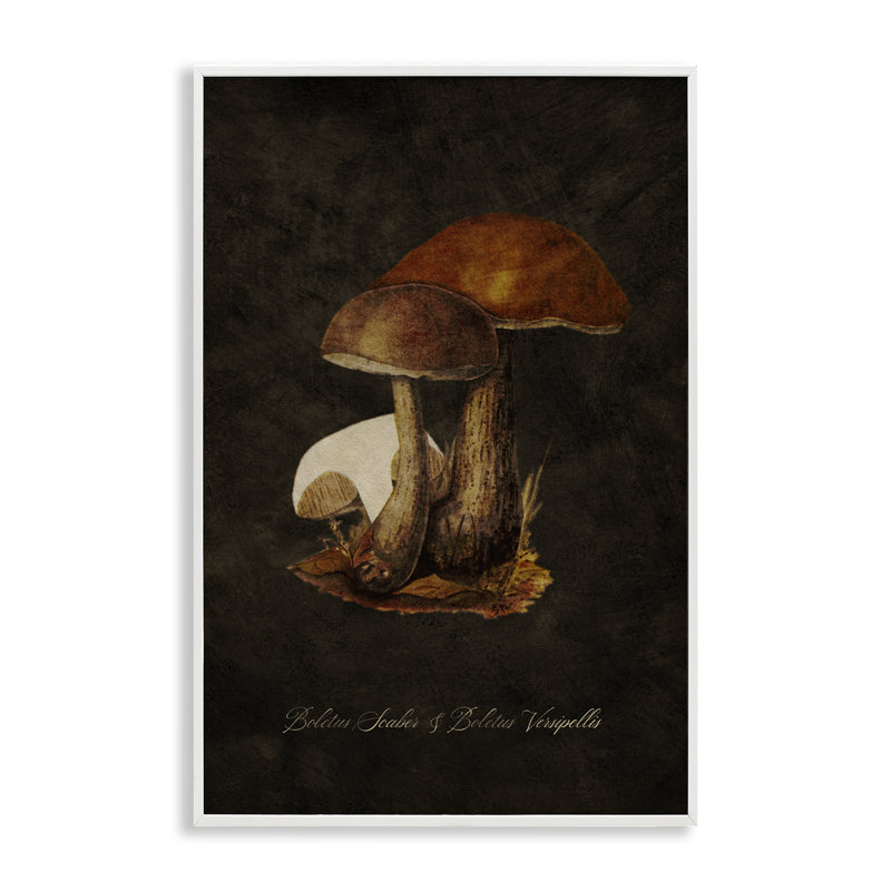 Art de la giclée, étude de types de champignons par Tina Higgins Designs, Inc., Estampe numérique encadrée blanc bord de mer
