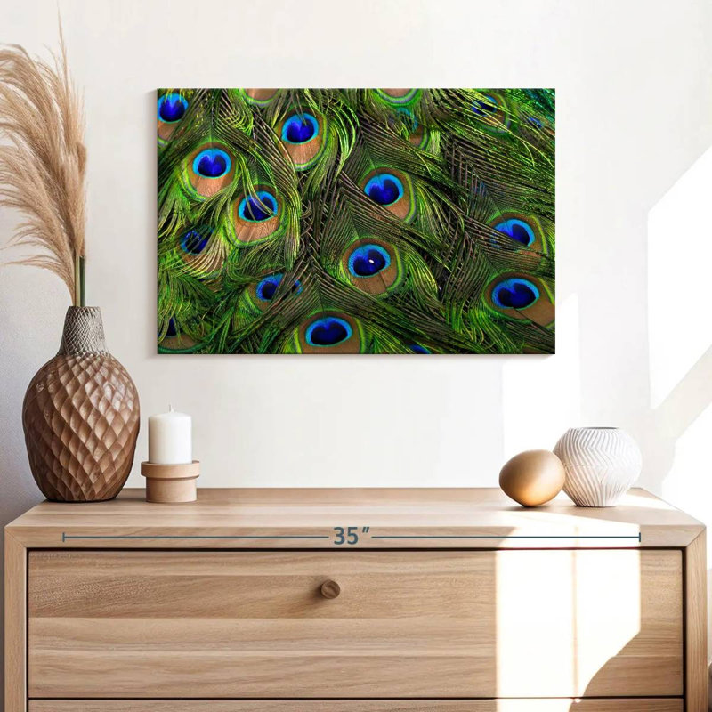 Brampt Silky Peacock Feathers, 16" H x 24" W