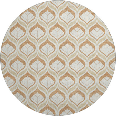 Premium Machine Washable Mayfield AMF2379 Ikat Rug
