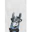Glendale Llama with a Bow III, reproduction sur toile tendue-1054236849