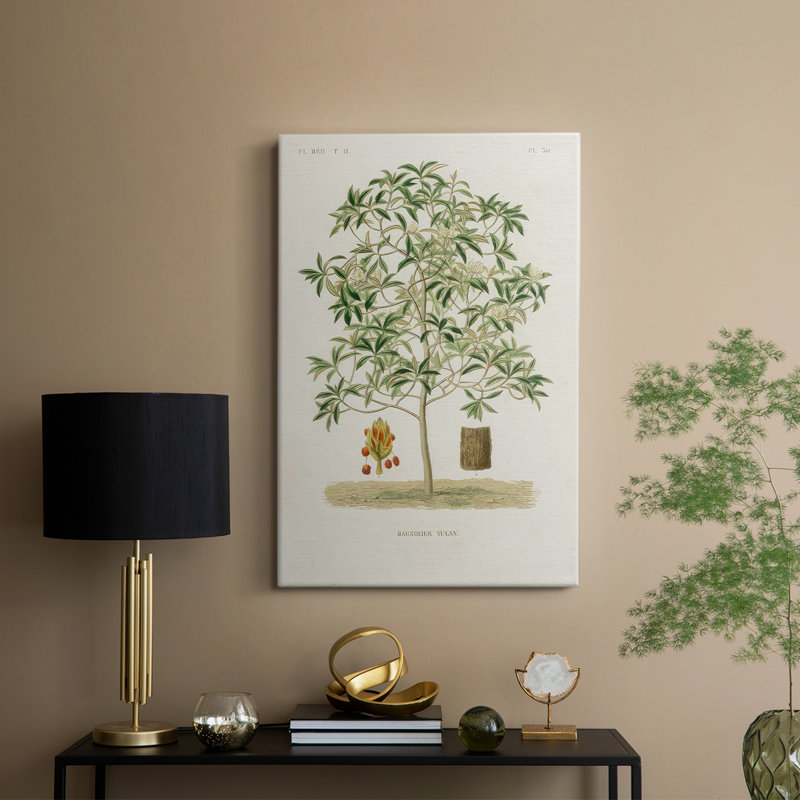 Arbre antique avec fruit VI - galerie Cavas, H 36 po x l 24 po