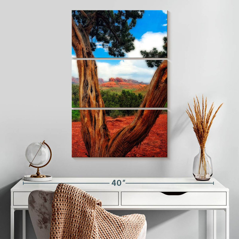 Nicci Desert Reds, 32" H x 20" W