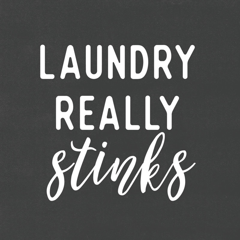 Laundry Really Stinks - Wrapped Canvas Print, 51cm H x 51cm W x 3.8cm D