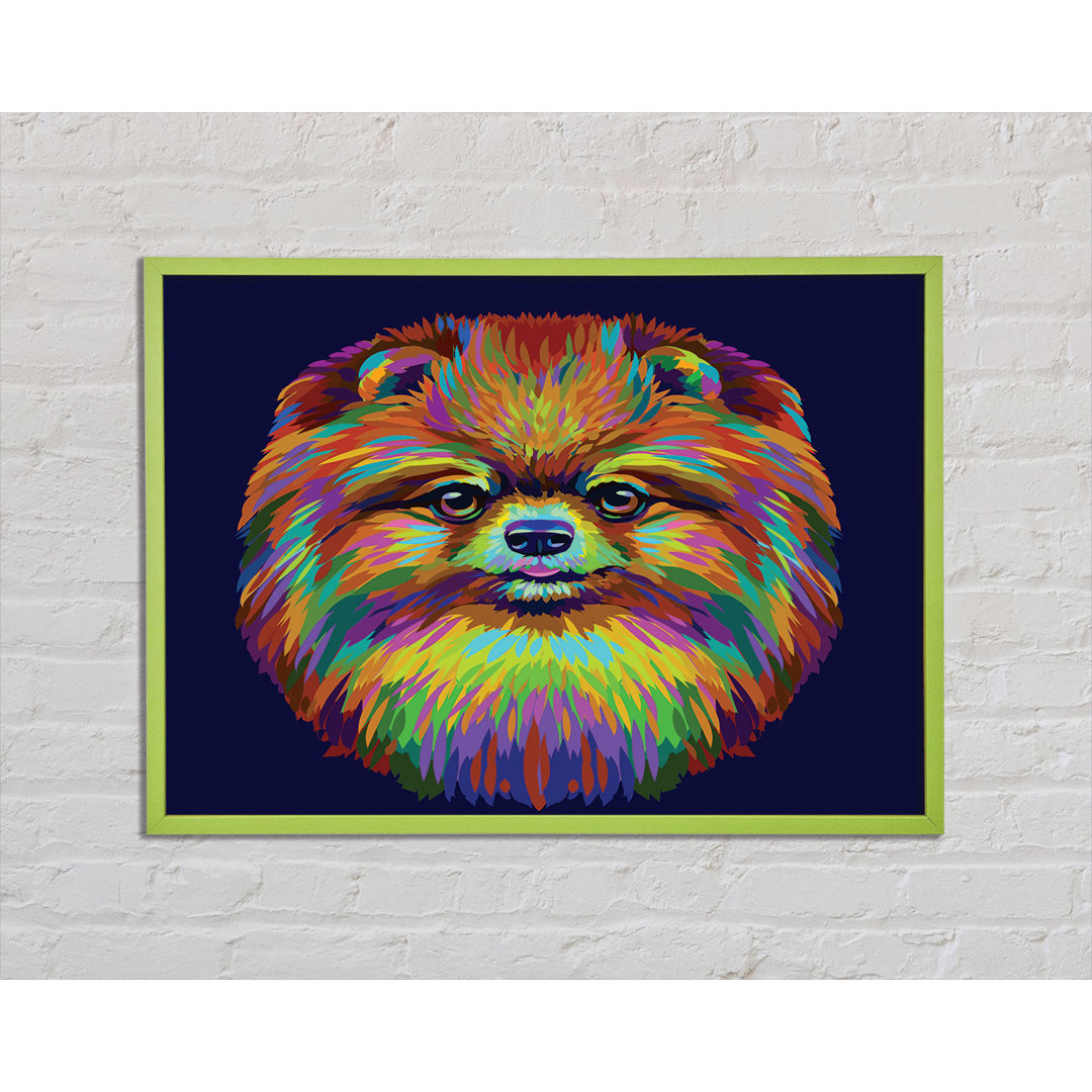 Bosada Big Fluffy Pomeranian - Einzelner Bilderrahmen Kunstdrucke