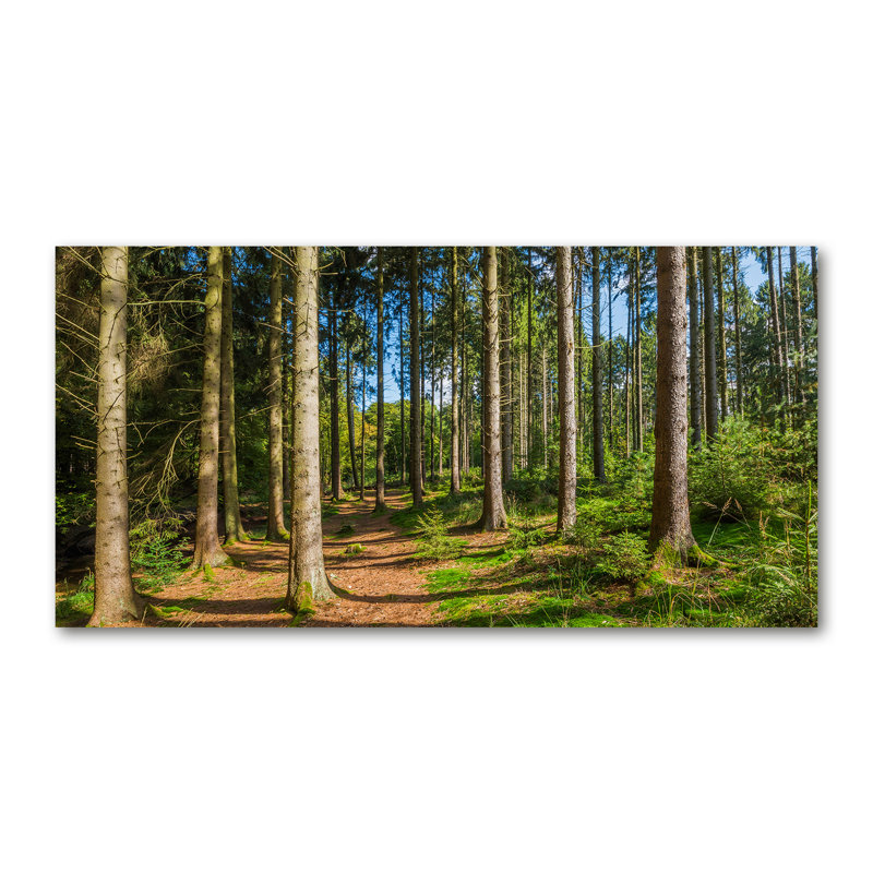 Panorama Of The Forest - Wrapped Canvas Print
