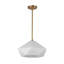 Luminaire suspendu moderne 14-en-1 Arlenne-1037814104
