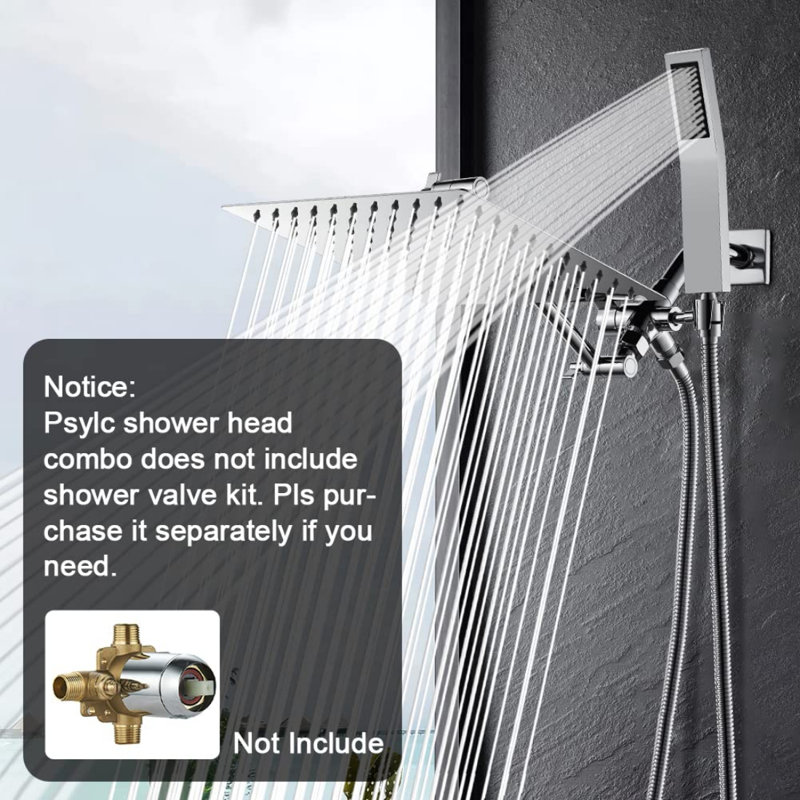 Rain Dual Shower Head 2.5 GPM GPM