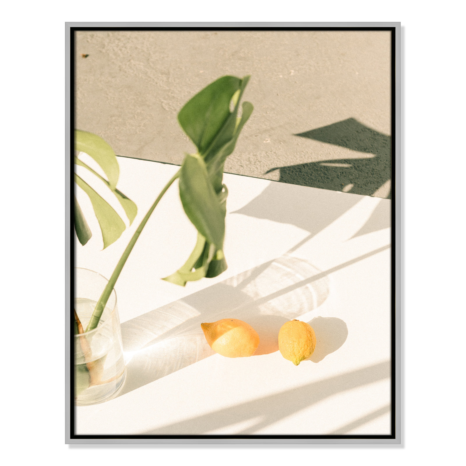Citrus & Palms by Chandra Oh, 29.5'' H x 23.5'' W x 2'' D, Silver Framed