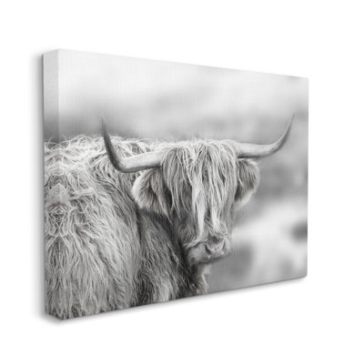 Portrait paisible de bouvier corne de paix détaillé par Danita Delimont - photographie