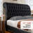Tufted Wingback Velvet Platform Bed with Nailhead Trim, Curved Sleigh Design, Queen Size-624206261