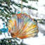 Coastal Christmas Decor - Rainbow Shell Wooden Ornaments By G.Debrekht