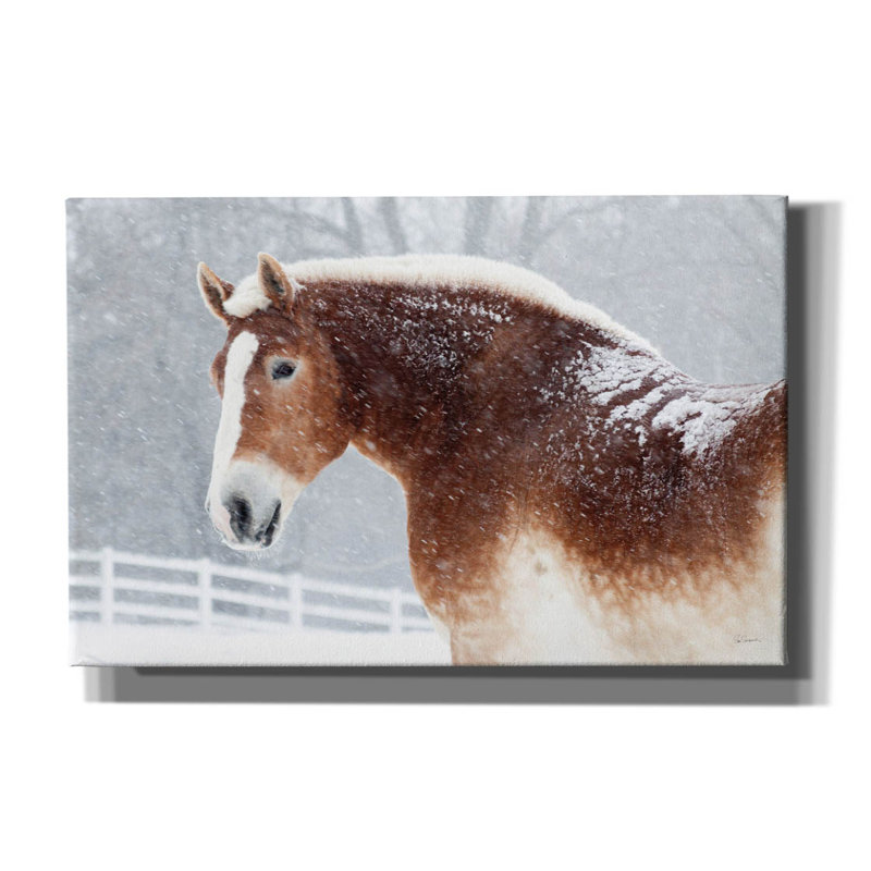 «Epic Graffiti», dessin de cheval enneigé par Sue Schlabach, H 26 po x l 40 po x P 1,5 po