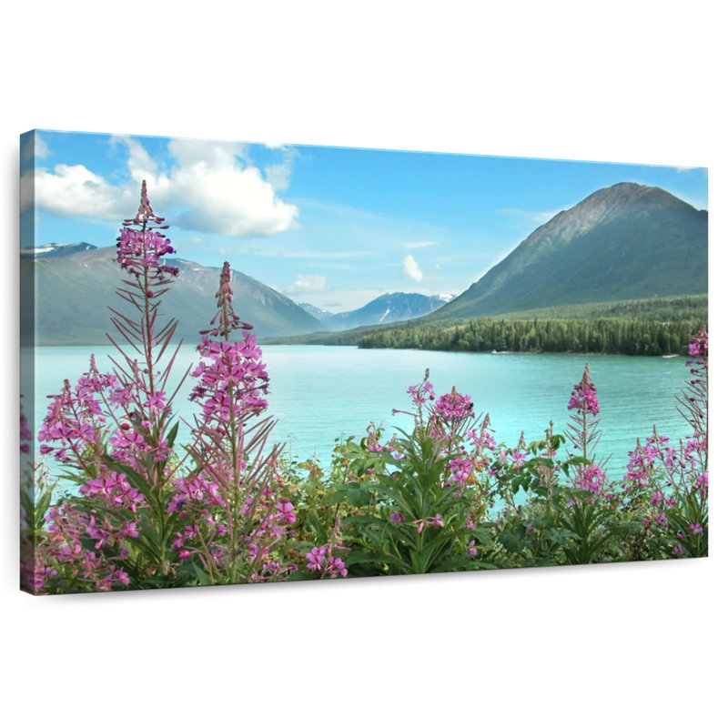 Harnek épilobe le long de la rivière Kenai, H 30 po x l 45 po