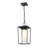 Jadine Outdoor Hanging Lantern-1657948879