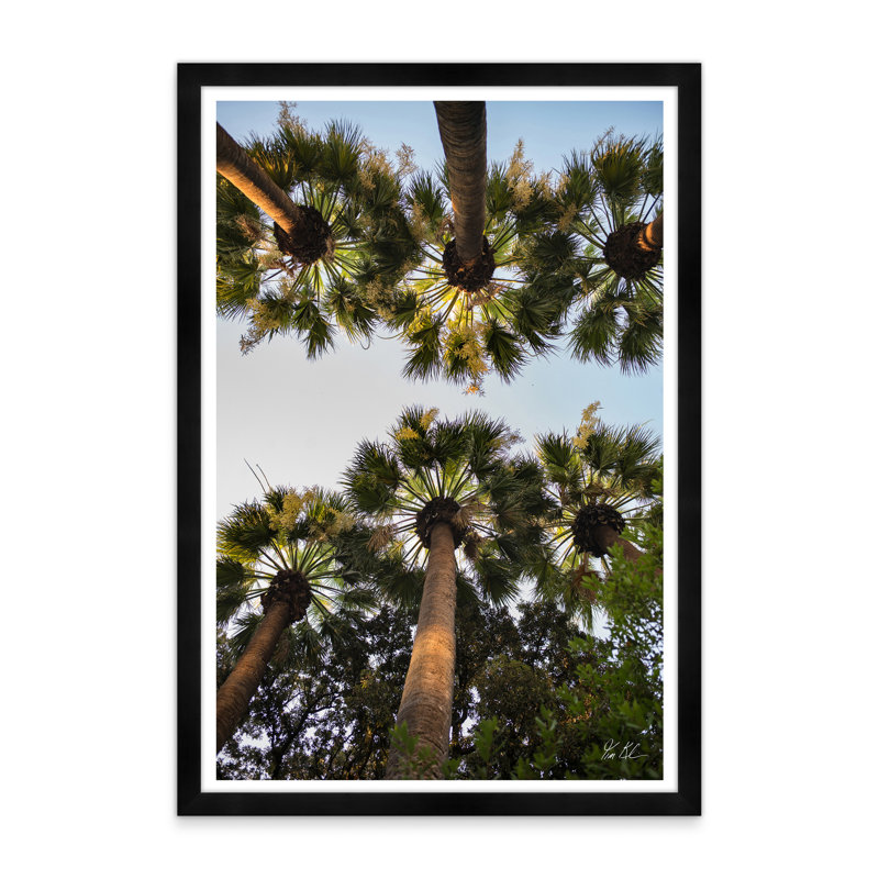Athènes Palm II, Noir, H 42 po x l 29 po x P 1,5 po, Lustre photo encadré