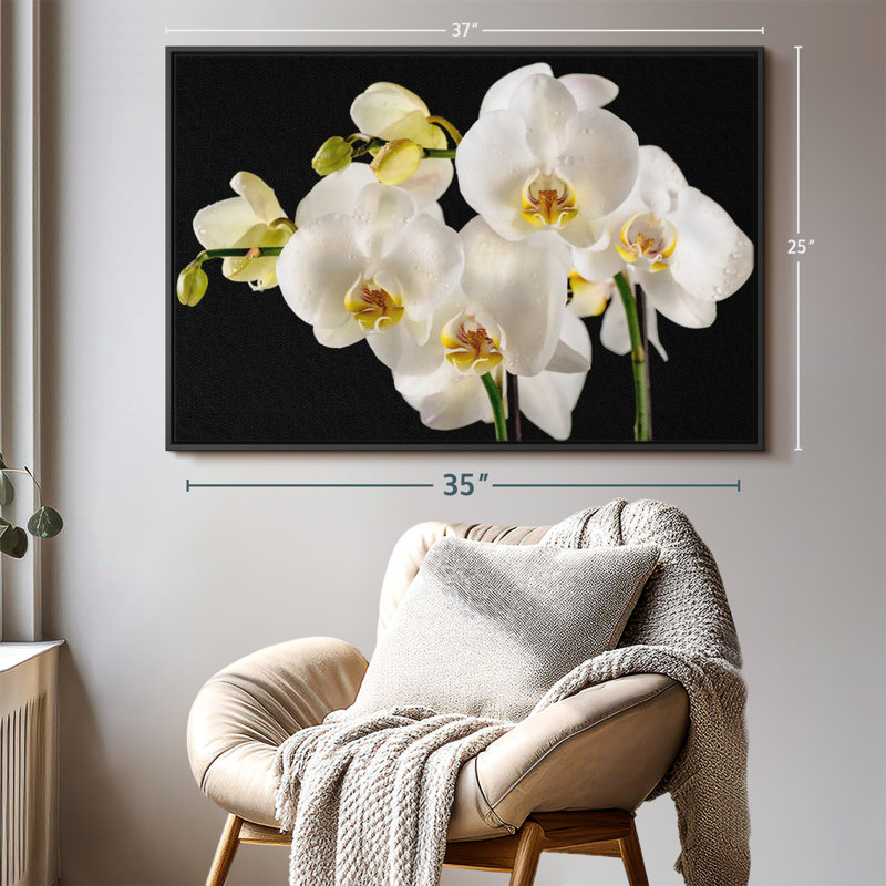 Fleurs fraîches d'orchidées blanches sur toile, H 25 po x l 37 po