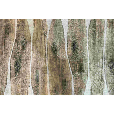 Live Edge II