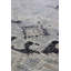 Baku Wool Geometric Area Rug in Gray/Sage/Ivory/Black-1952084633
