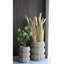 Sarbas Seagrass 2 Piece Basket Set