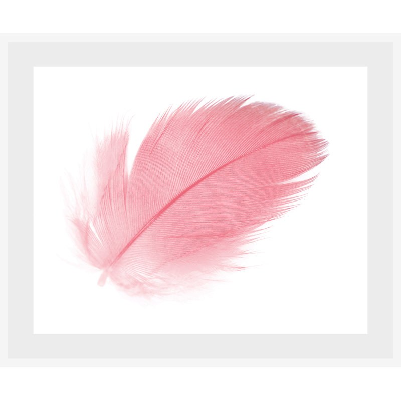 Feder - Single Picture Frame Print