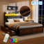 Upholstered Storage Bed-388603230