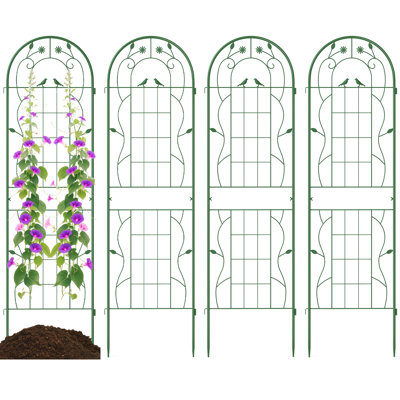 71 in. H x 20 in. W Arched Trellis