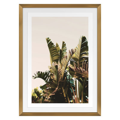 Equaltorial Print by Alicia Bock