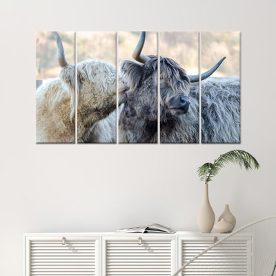 Élégante œuvre d'art sur toile, Highland Cow, 5P