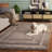 Drennen Florida Shag Performance Solid Color Rug-252756669