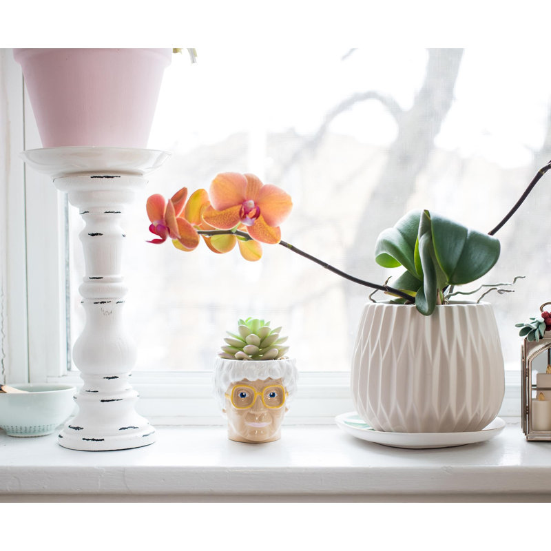 Plante molle artificielle en pot