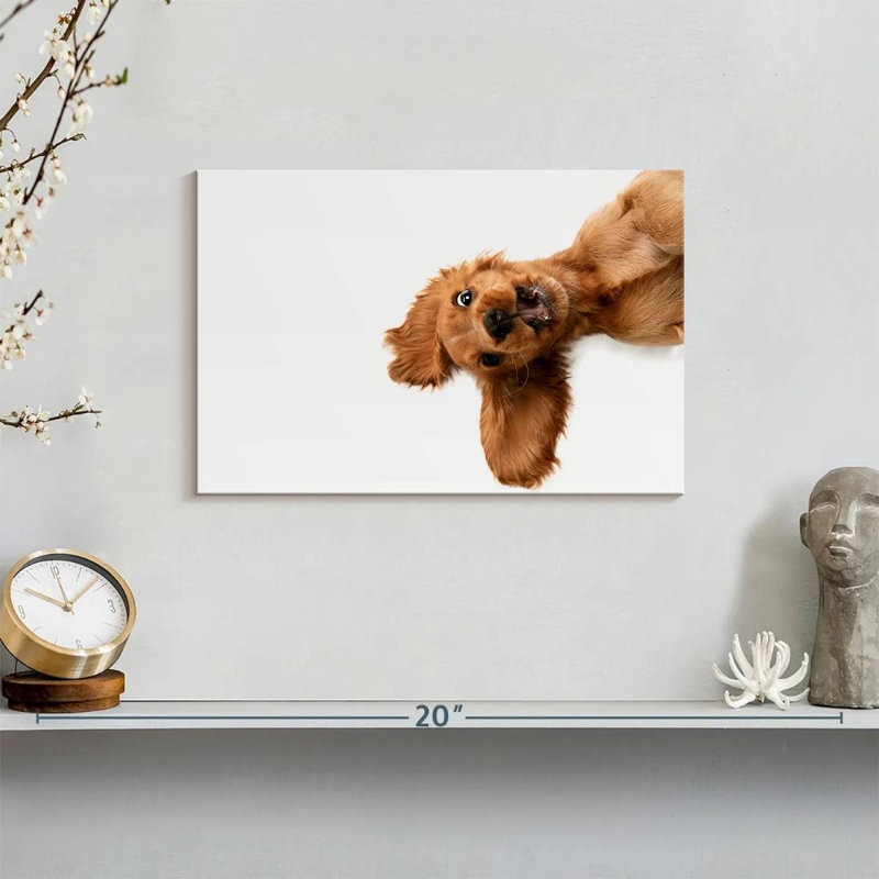Chiot épagneul Bramer «Happy Cocker», H 8 po x l 12 po