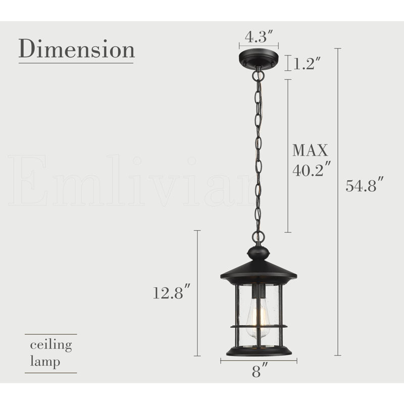 Joshalyn Outdoor Hanging Lantern