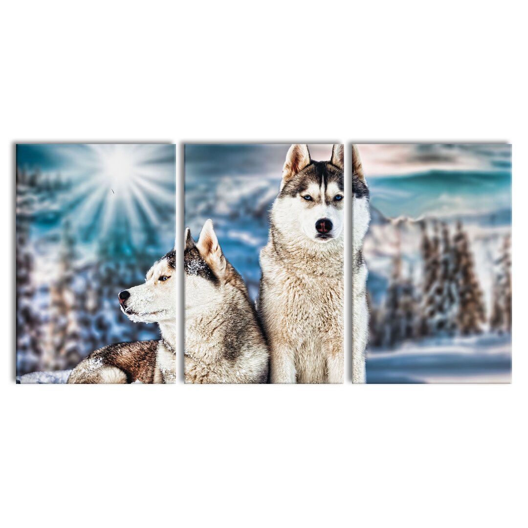 3-tlg. Leinwandbilder-Set Two Wild Huskies