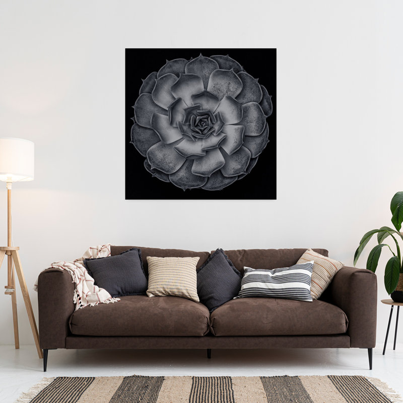 «Succulent Graptoveria Baw 001 Square Contrast Abstract Contemporary Succulent Landscape Nature Art mural, H 36 po x l 36 po
