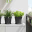 Pot Planter-52013144-52013146