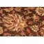 Tapis brun / rouge en laine noué à la main de style oriental rectangulaire 8 pi 2 po x 9 pi 8 po Baccio