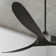 Obsidian Ceiling Fan