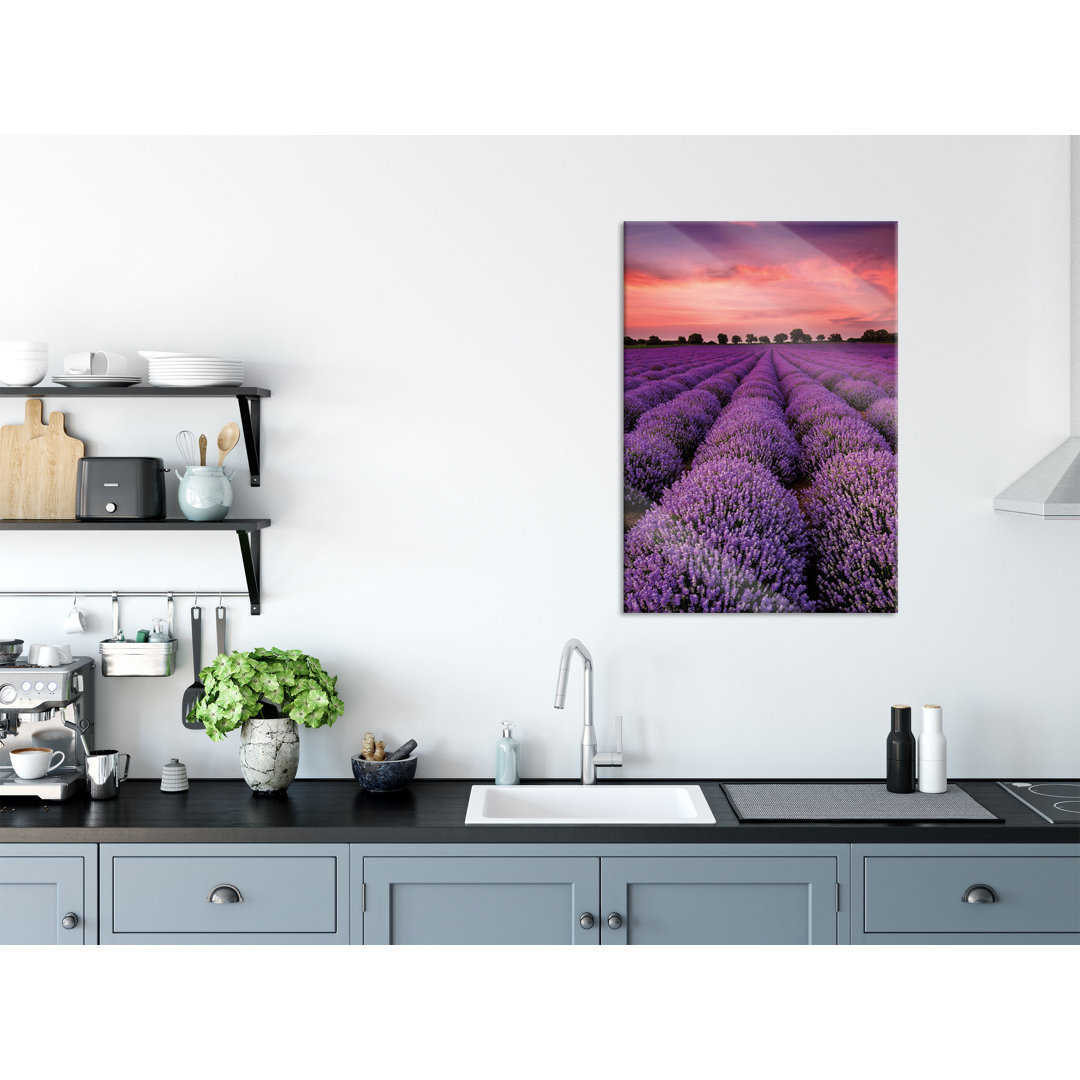 Glasbild | Wandbild Auf Echtglas | Wunderschöne Lavendel Provence | 2 lila LFs8696