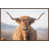 Floater Brow Framed Canvas is out of stock